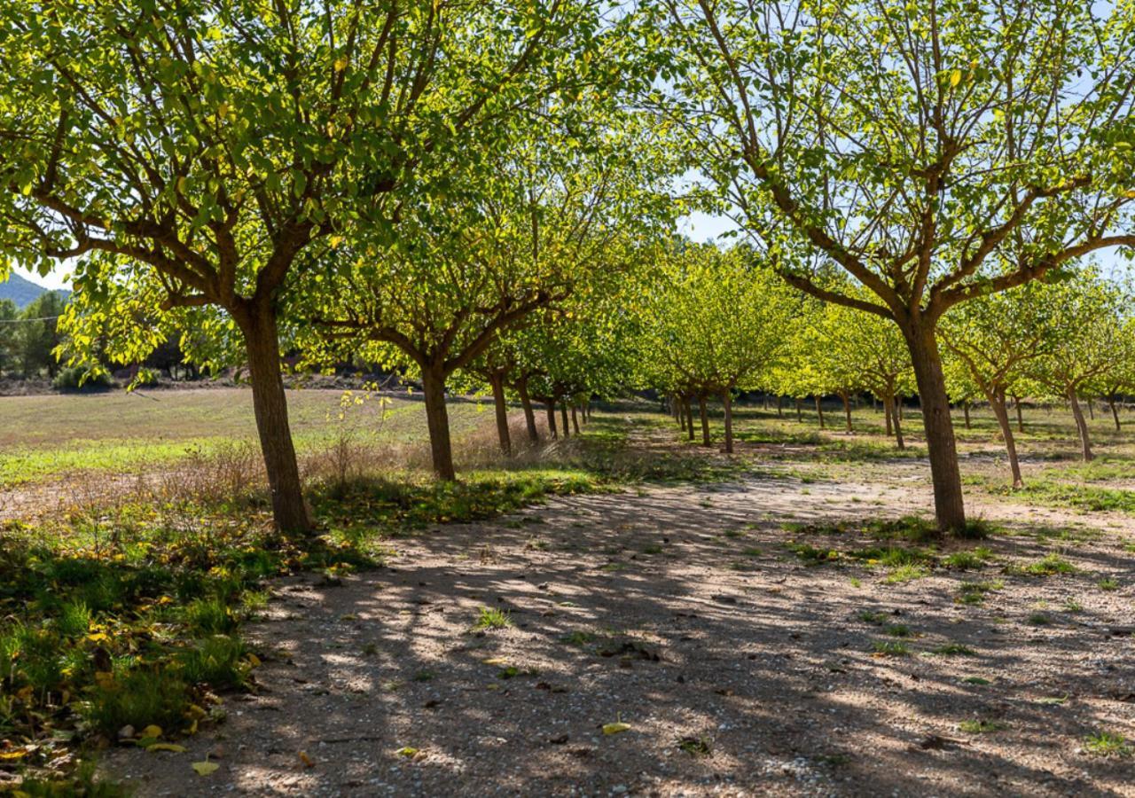 Masia Aubareda San Martín de Tous Kültér fotó