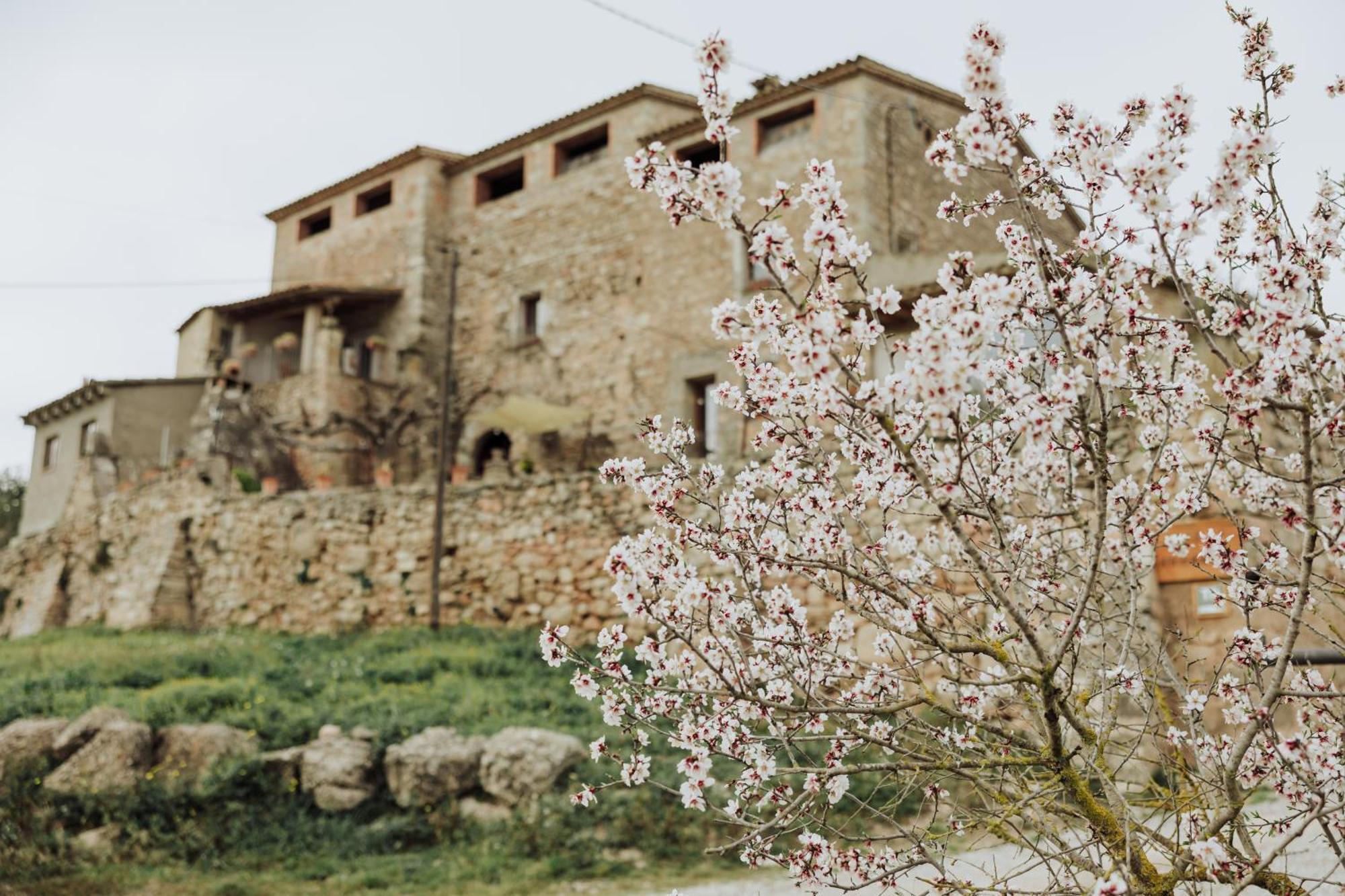 Masia Aubareda San Martín de Tous Kültér fotó